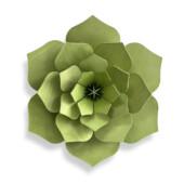 Lovi Decor Flower, wooden wall decoration, color pale green, made in Finland