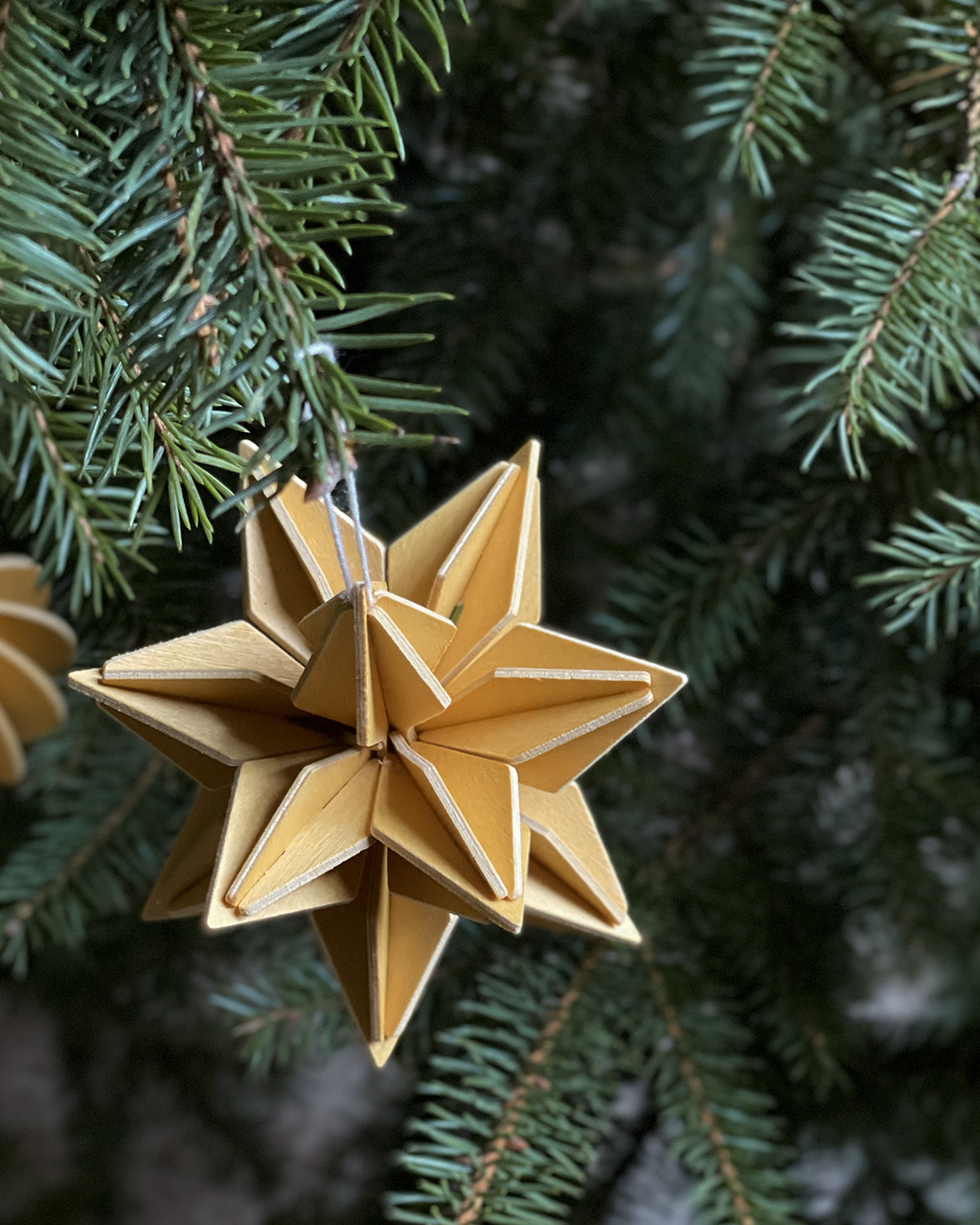 Lovi Star, color honey yellow, honging on the Christmas tree.